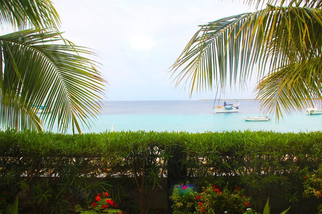 Bonaire Seaside Apartments Εξωτερικό φωτογραφία