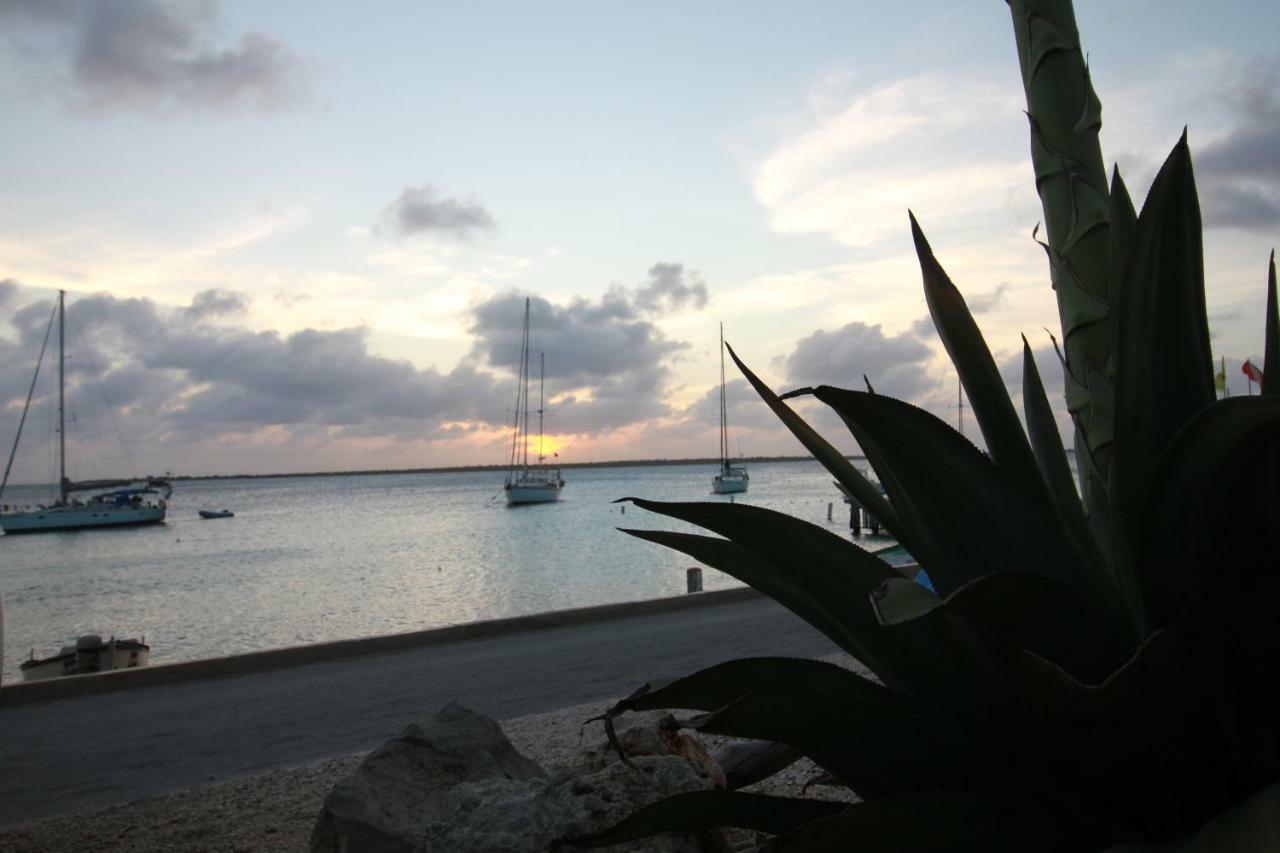 Bonaire Seaside Apartments Εξωτερικό φωτογραφία